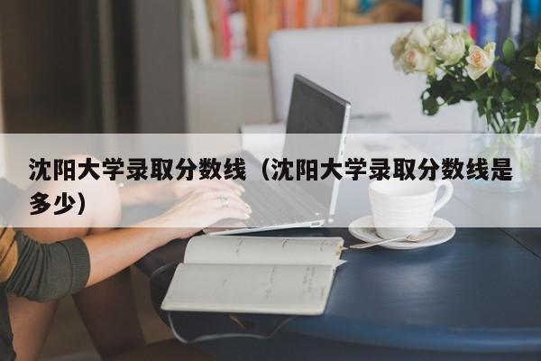 沈阳大学录取分数线（沈阳大学录取分数线是多少）