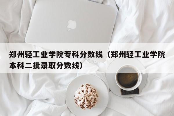 郑州轻工业学院专科分数线（郑州轻工业学院本科二批录取分数线）