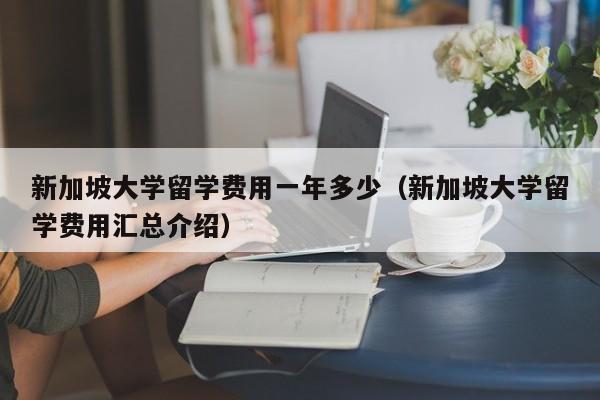 新加坡大学留学费用一年多少（新加坡大学留学费用汇总介绍）