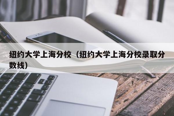 纽约大学上海分校（纽约大学上海分校录取分数线）