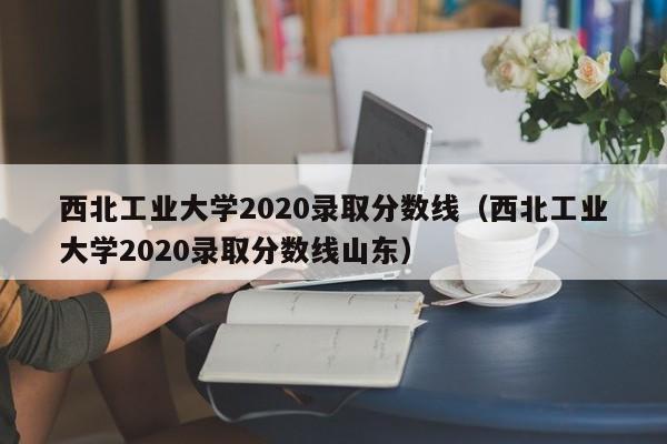 西北工业大学2020录取分数线（西北工业大学2020录取分数线山东）