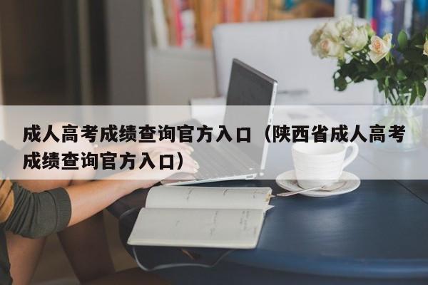 成人高考成绩查询官方入口（陕西省成人高考成绩查询官方入口）