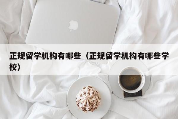 正规留学机构有哪些（正规留学机构有哪些学校）