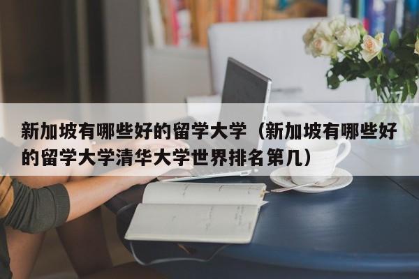 新加坡有哪些好的留学大学（新加坡有哪些好的留学大学清华大学世界排名第几）