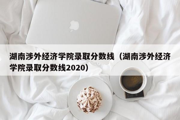 湖南涉外经济学院录取分数线（湖南涉外经济学院录取分数线2020）