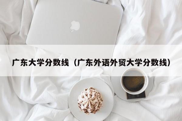 广东大学分数线（广东外语外贸大学分数线）