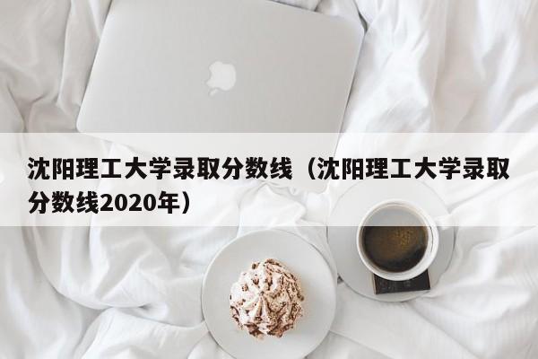 沈阳理工大学录取分数线（沈阳理工大学录取分数线2020年）