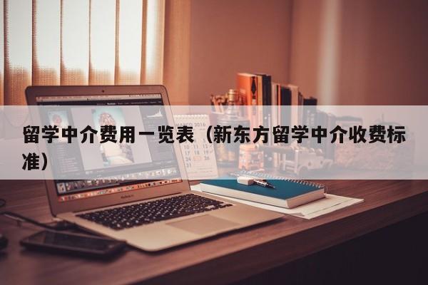 留学中介费用一览表（新东方留学中介收费标准）