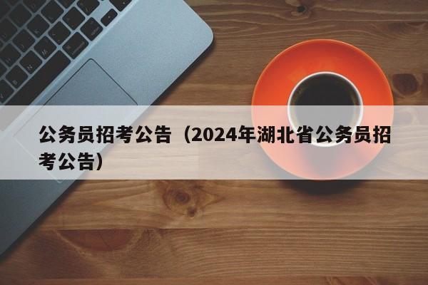 公务员招考公告（2024年湖北省公务员招考公告）