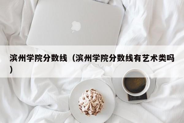 滨州学院分数线（滨州学院分数线有艺术类吗）