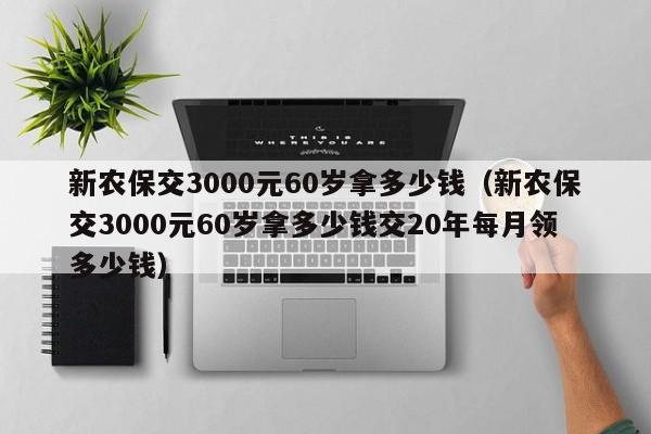 新农保交3000元60岁拿多少钱（新农保交3000元60岁拿多少钱交20年每月领多少钱）