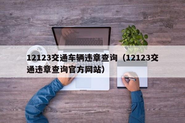 12123交通车辆违章查询（12123交通违章查询官方网站）