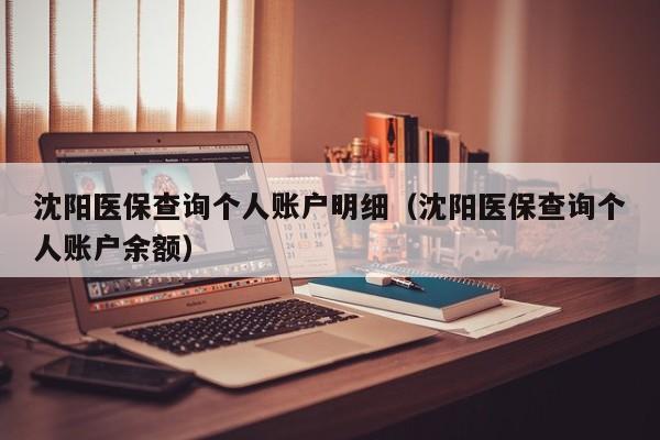 沈阳医保查询个人账户明细（沈阳医保查询个人账户余额）