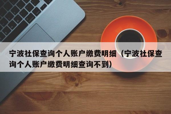 宁波社保查询个人账户缴费明细（宁波社保查询个人账户缴费明细查询不到）