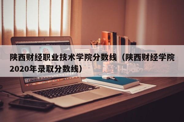 陕西财经职业技术学院分数线（陕西财经学院2020年录取分数线）