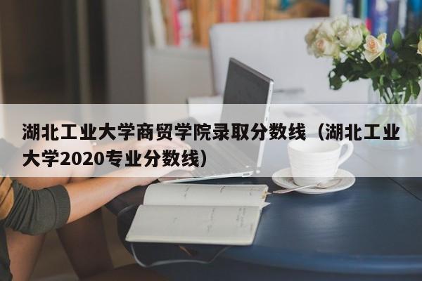 湖北工业大学商贸学院录取分数线（湖北工业大学2020专业分数线）