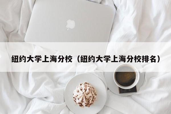 纽约大学上海分校（纽约大学上海分校排名）