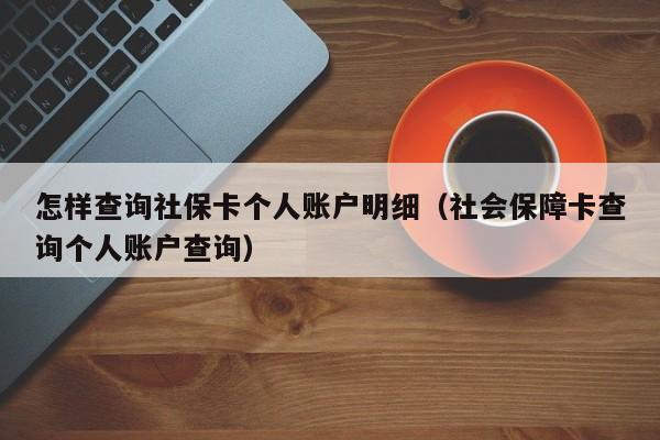 怎样查询社保卡个人账户明细（社会保障卡查询个人账户查询）